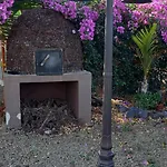 Bei Auf Meneses Guía de Isora
