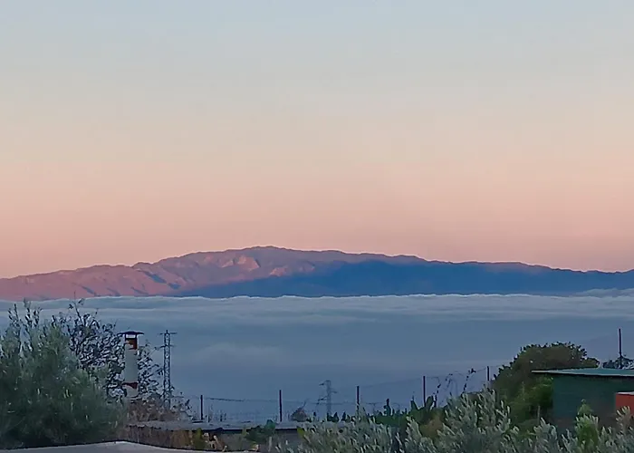 Bei Auf Meneses Guía de Isora