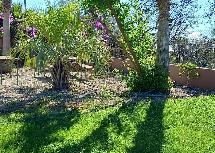 Bei Auf Meneses * Guía de Isora