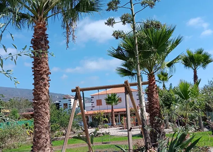 Bei Auf Meneses * Guía de Isora