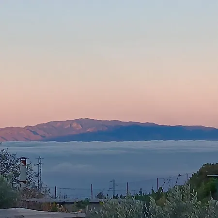 Bei Auf Meneses Guía de Isora