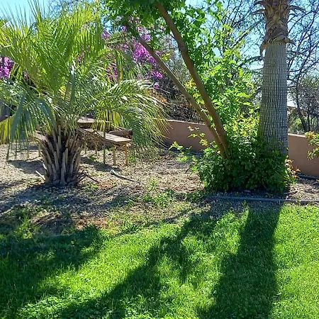 Bei Auf Meneses * Guía de Isora